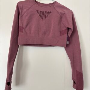Adore Me Mauve Long Sleeve Active Crop Top